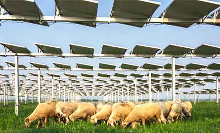 威尼斯电子游戏大厅