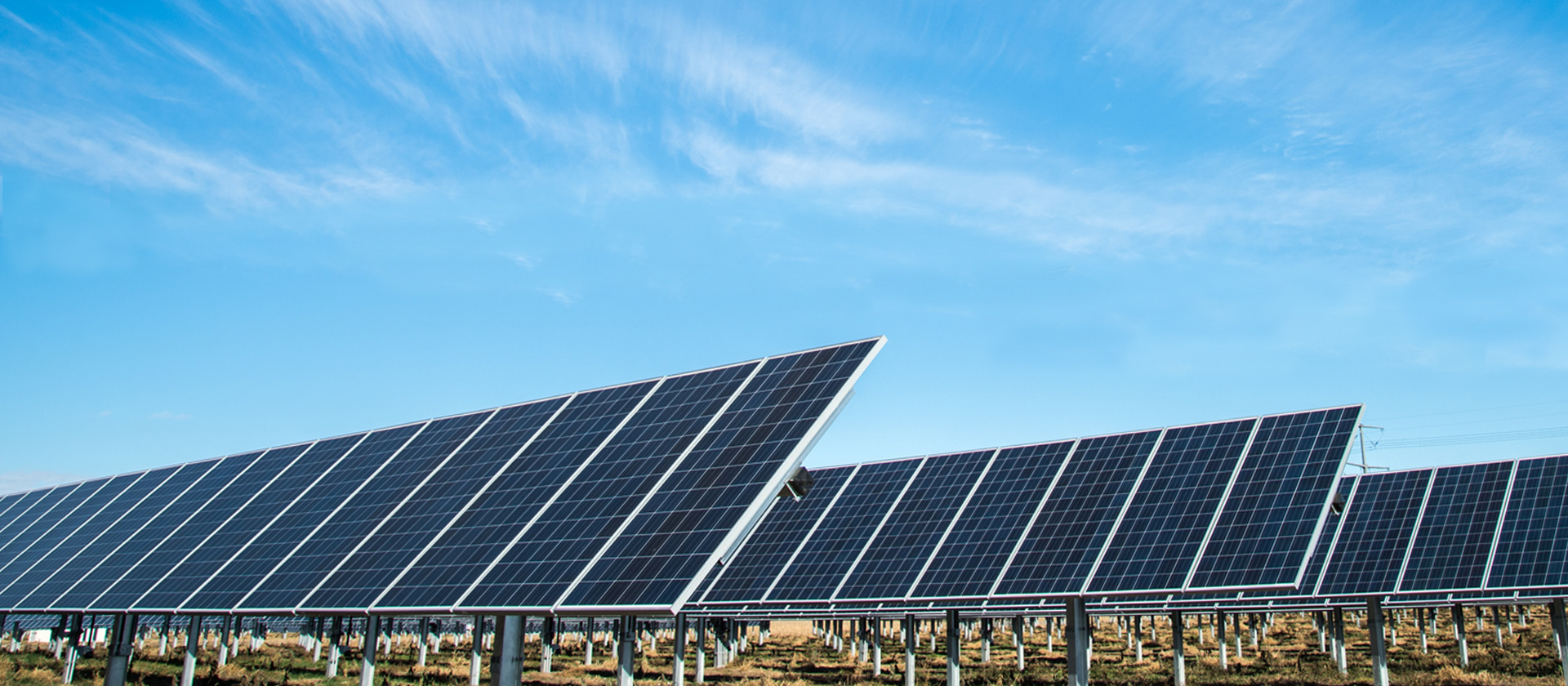 威尼斯电子游戏大厅