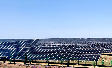 威尼斯电子游戏大厅